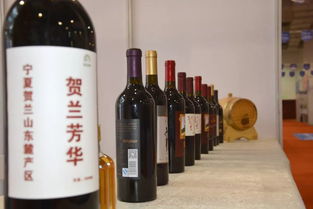 2019全國特色產(chǎn)品吳忠行暨吳忠房 車 葡萄酒展金秋隆重亮相